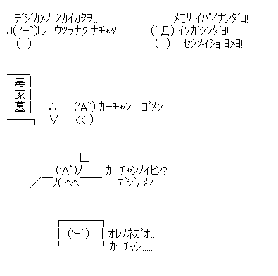 ドクオとデジカメとカーチャン